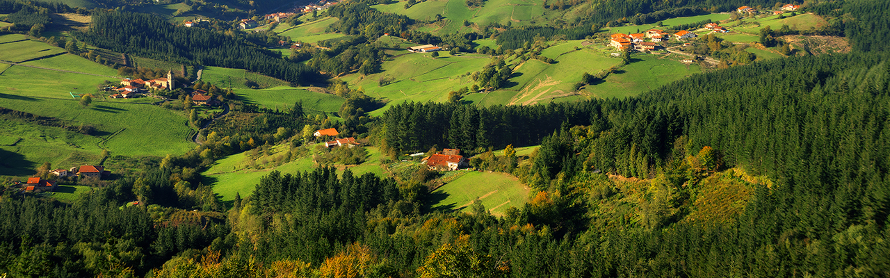 Collines verdoyantes et fermes de l’intérieur des terres